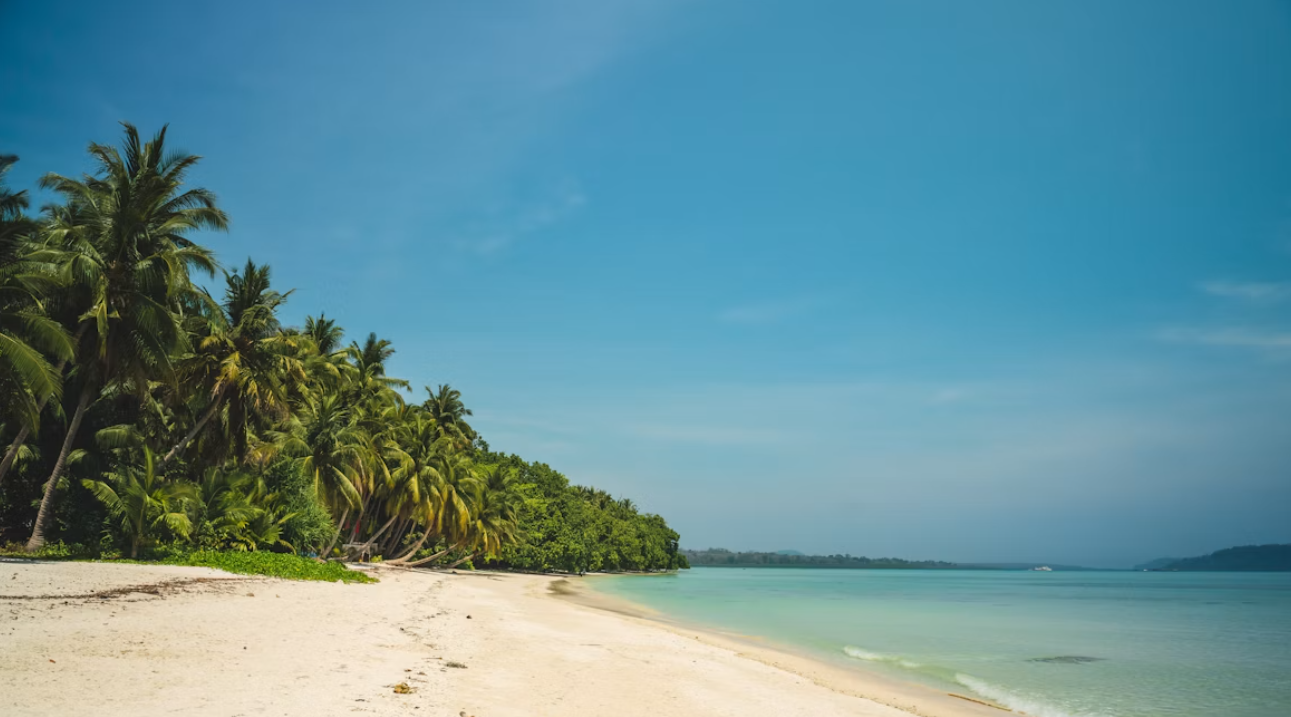 The Island Story